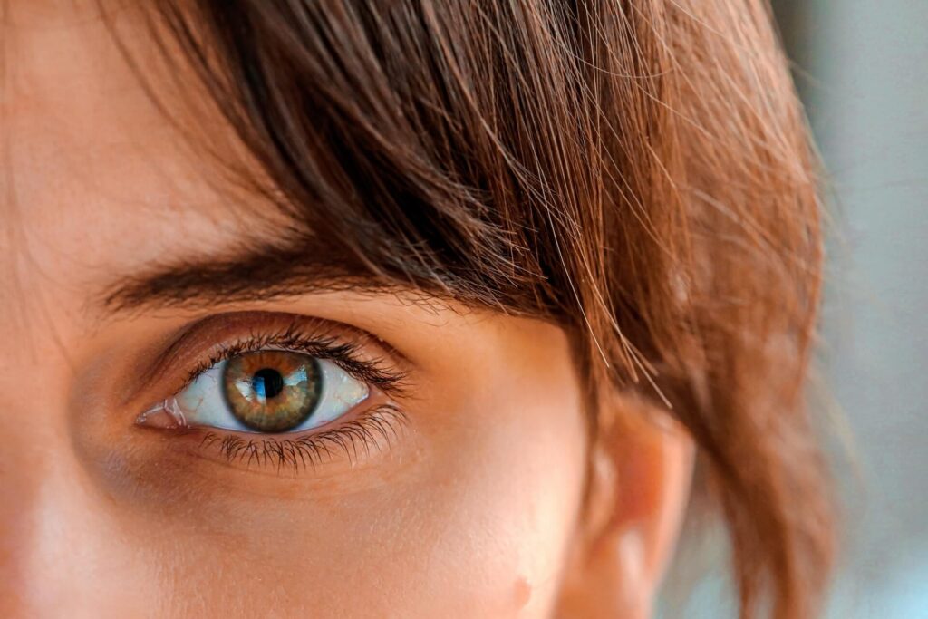 closeup of iris