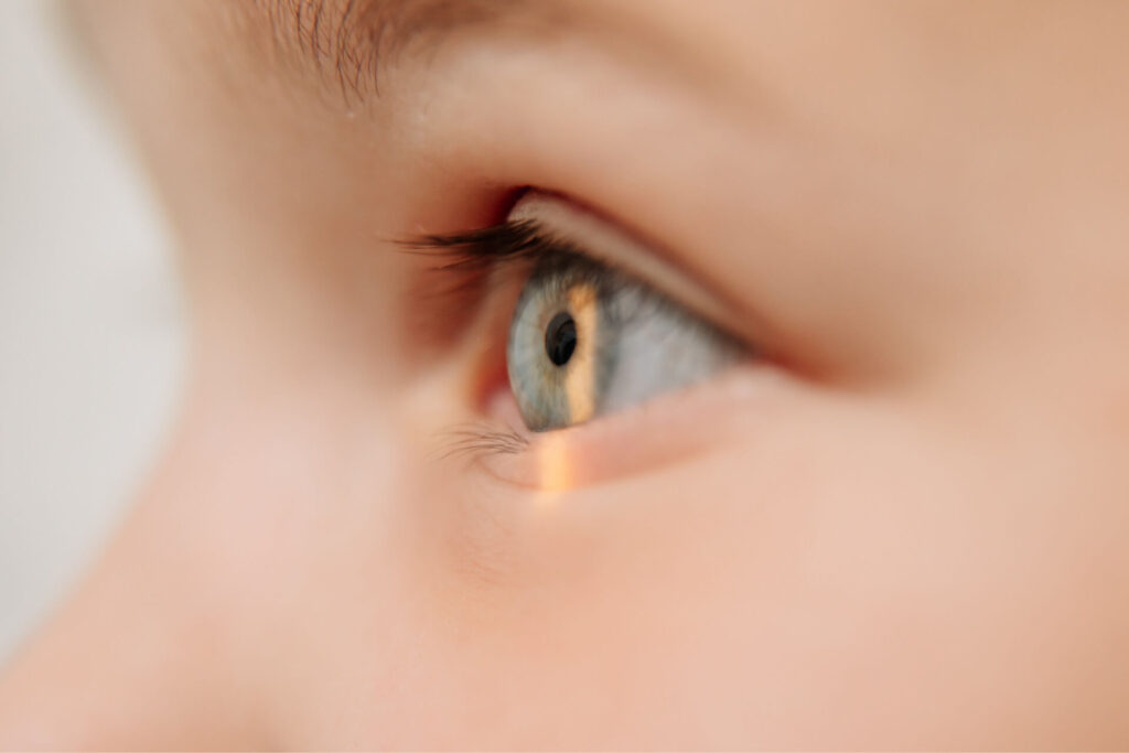 side profile view of eyes